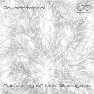Phundamental - Awakening Of The Bit Dragons