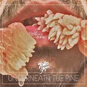 Toro Y Moi - Underneath The Pine