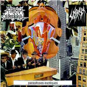 Atrofia Cerebral / Sete Star Sept - Split 7