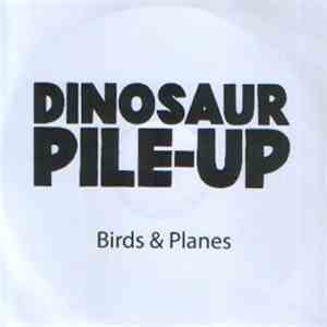 Dinosaur Pile-Up - Birds & Planes