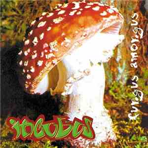 Incubus - Fungus Amongus