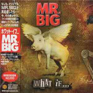 Mr. Big - What If...