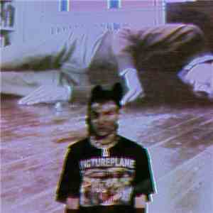 Mr.Kitty - Insects