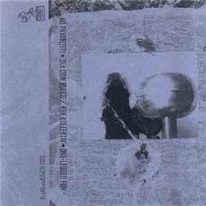 No Pavarotti / KLaNGundKRaCH Kollektiv - Sea Cow Blues / One-Legged Fun