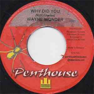 Wayne Wonder - Why Did You