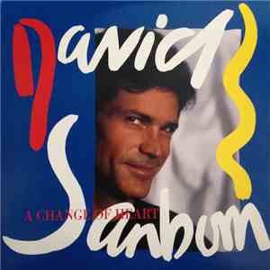 David Sanborn - A Change Of Heart