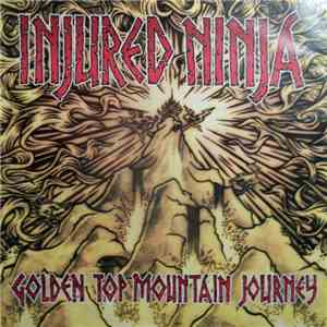Injured Ninja - Golden Top Mountain Journey