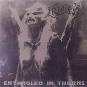 Insision - Entangled In Thorns