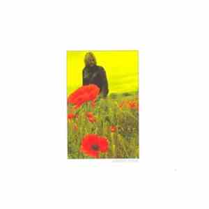 The Alarm - In The Poppy Fields: Five