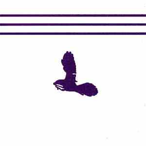 Ajilvsga - Purple Crow