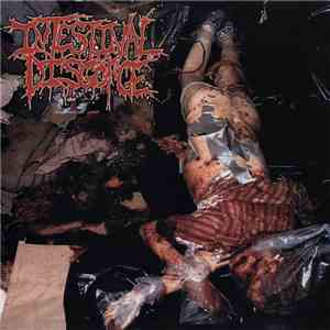 Intestinal Disgorge - Whore Splattered Walls