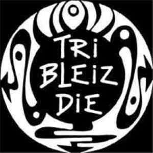 Tri Bleiz Die - Disuj