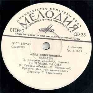 Алла Кожевникова - Камыши