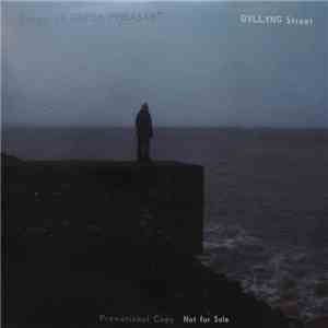 Songs Of Green Pheasant - Gyllyng Street