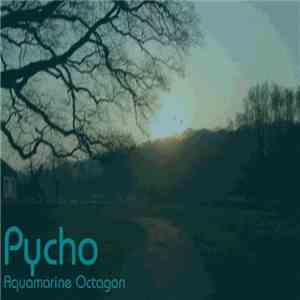 Pycho - Aquamarine Octagon