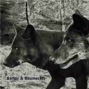 Barker & Baumecker - Transsektoral