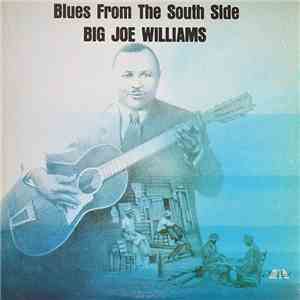 Big Joe Williams - Blues From The South Side