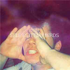 Future Nest - self esteem / birds EP