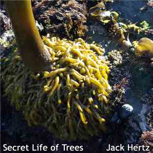 Jack Hertz - Secret Life Of Trees
