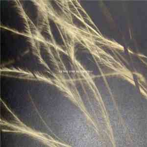 Mirt - Grasslands Recordings