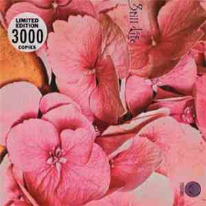 Still Life  - Still Life