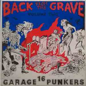 Various - Back From The Grave Volume Two