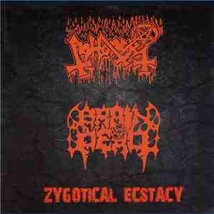 Abhorer / Brain Dead  - Zygotical Ecstacy