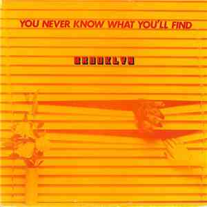 Brooklyn  - You Never Know What You'll Find