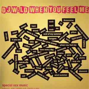 DJ Wild - When You Feel Me Part 1