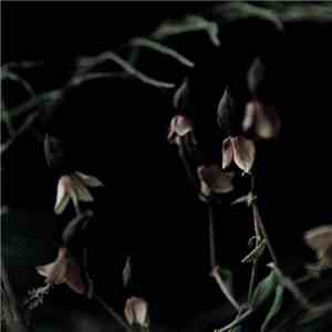 Foehn & Jerome, The Unwanted  - UNTLD099