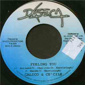 Calico  & Ce'cile / Tornado  & Deja-Vu - Feeling You / Sintt'n Fi Die Fah
