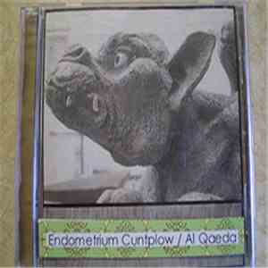 Endometrium Cuntplow / Al Qaeda - Split Part I Of III