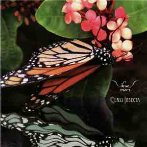 Ikue Mori - Class Insecta