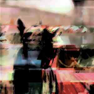 No-Joy - Horse Digital Noise