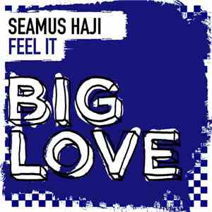 Seamus Haji - Feel It