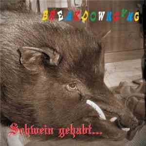 Breakdowngang - Schwein gehabt...