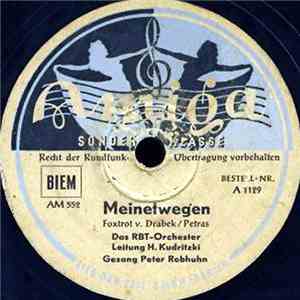 Das RBT-Orchester, Horst Kudritzki - Meinetwegen / Moonlight Serenade