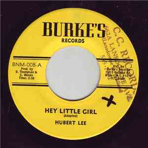 Hubert Lee / The Soul Syndicate - Hey Little Girl