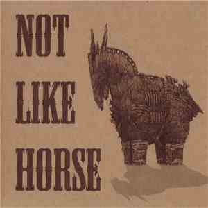 Not Like Horse - Not Like Horse