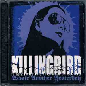 Killingbird - Waste Another Yesterday