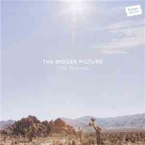 Stee Downes - The Bigger Picture