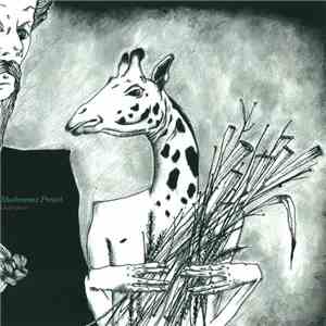 Mushrooms Project - Undergrass
