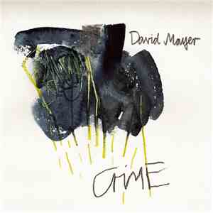 David Mayer - Crime