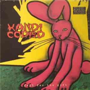 Kandi Coded - Fell For The Gift
