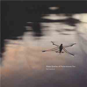 Tom Lawrence - Water Beetles Of Pollardstown Fen