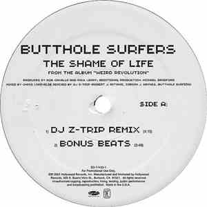 Butthole Surfers - The Shame Of Life