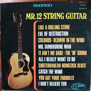 Mr. 12 String Guitar - Mr. 12 String Guitar