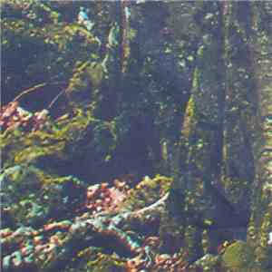 S Olbricht - For Perfect Beings
