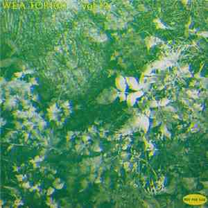 Various - WEA Top 100 Vol. 12