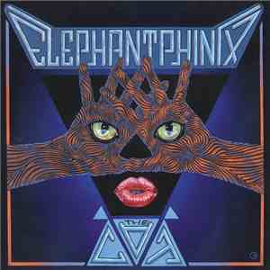 Elephant Phinix - The Cat
